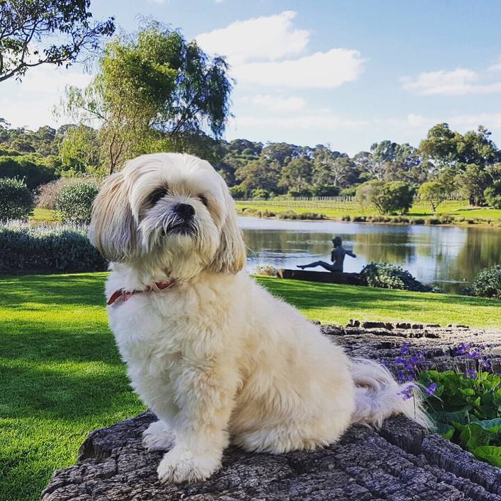 54d8bd7c 1de0 45fc ada9 9ee98d656148