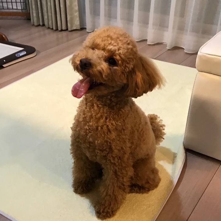 54d90f68 3a81 4a59 81f5 5af42e1b95f7