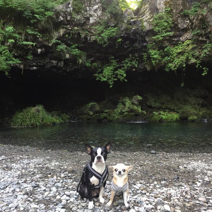 54d96944 2522 42c1 8f45 fff03fad5ec5