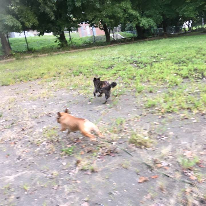 54d97993 ca6c 48c5 a20f c80e66dc2cc9