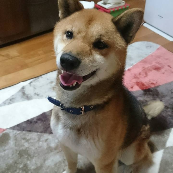 54d980ad c49d 4761 9bbf 2a2ec7aa1ee9