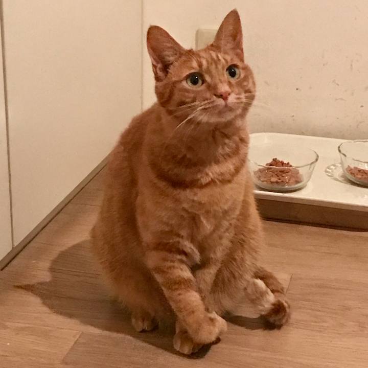 54d9bf49 feb0 4bea 8693 dcac84e30288