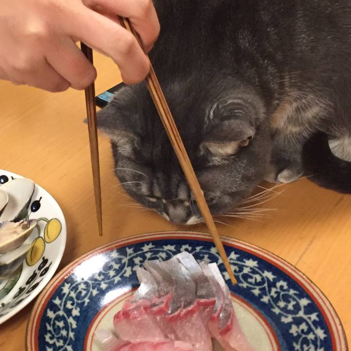 54d9d3ed 3103 444b 81c5 b74002d25d54