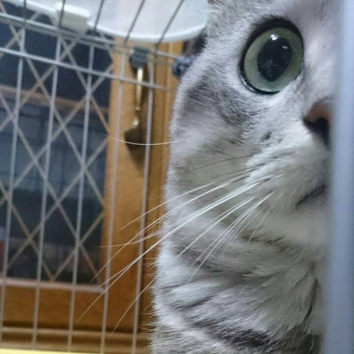 54d9de97 f905 40a8 83e8 3a27ce0796bb