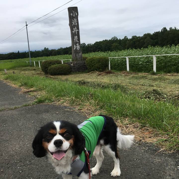 54da59f7 c111 49aa a7b7 d2ddbc7f5b44