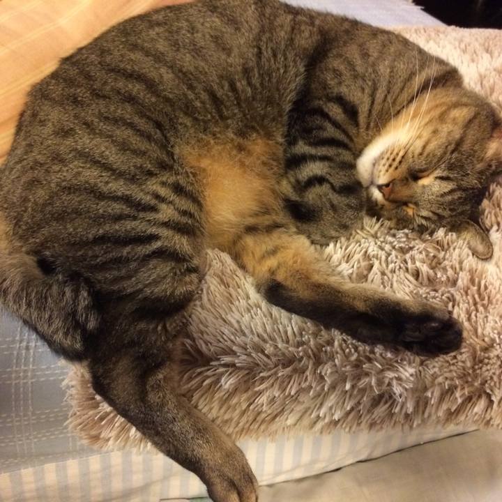 54dac1ea 0359 43e0 917e 6c3b79c3f01b