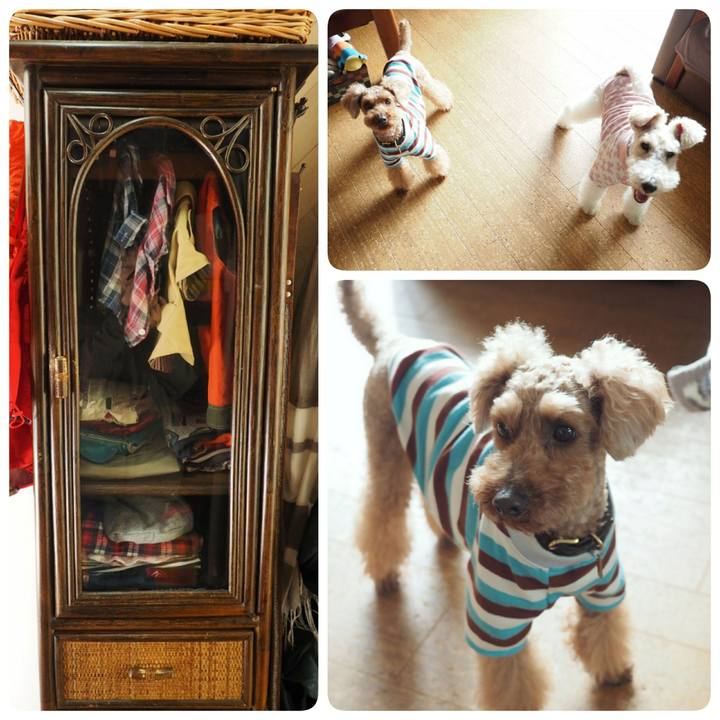 54db6428 ef2f 42db a215 7ddf0e87db52