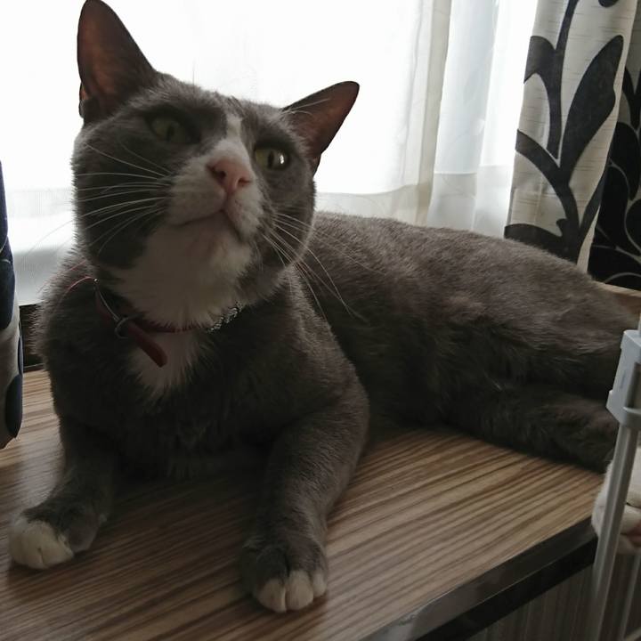 54db85e4 c4bf 45ff a75e 0baa1cacf2d8