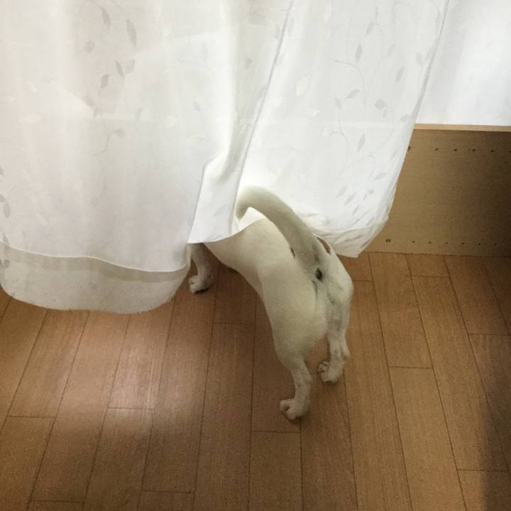 54dd7f70 6c5a 4d9e a713 1982902f790c