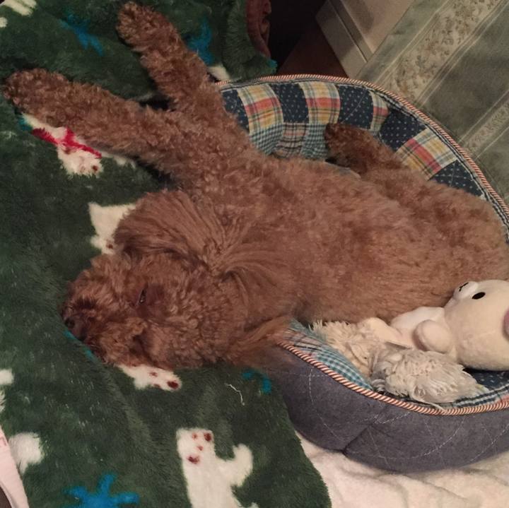 54dd8efa 9651 492f 9ea5 1a5112adaf79