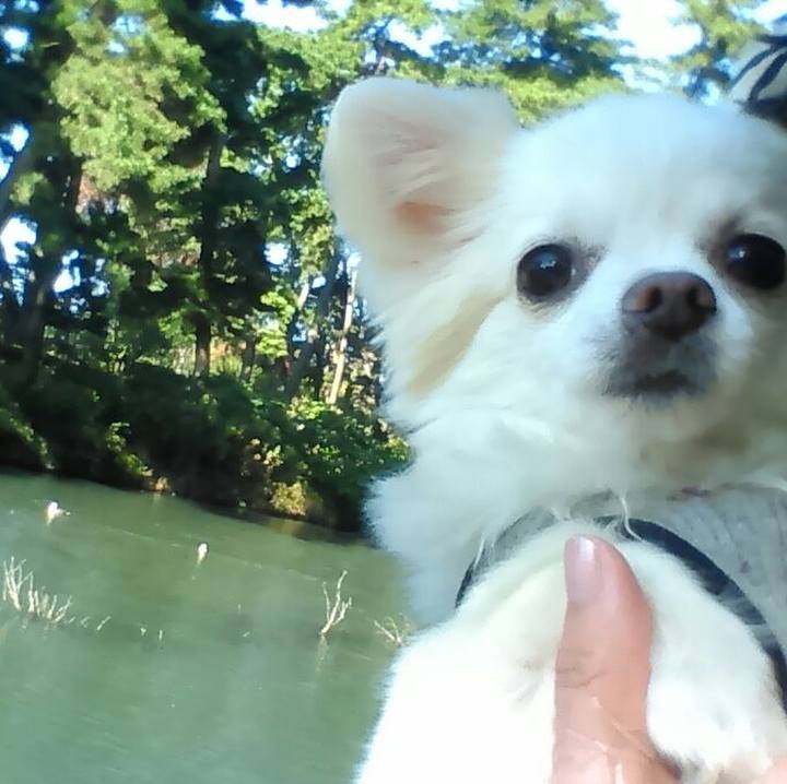 54ddbecd b47b 4501 9565 c44a252897a3