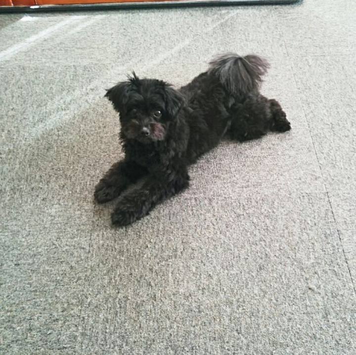 54ddd317 5df4 46ce acd6 3e472e2a90a0