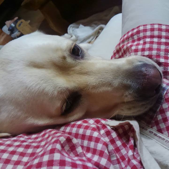 54de6400 66ba 4f78 bd1f 76be75e4d670