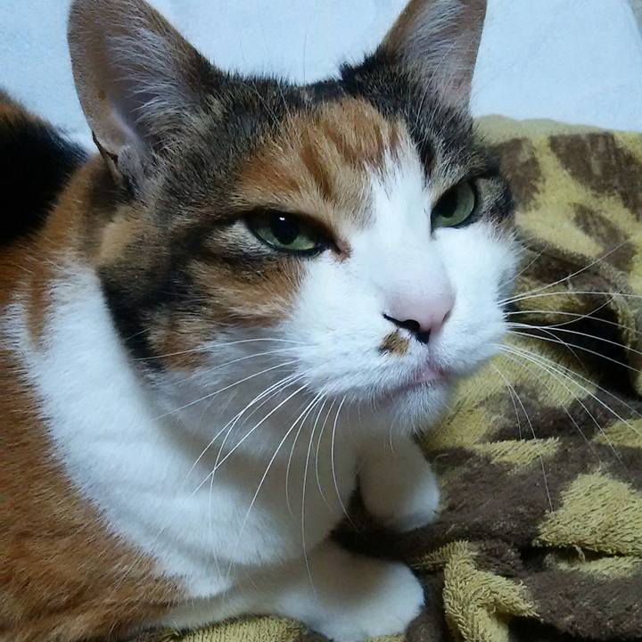 54de8993 46f7 4cd0 a6cb 1d1bb0aab0e0