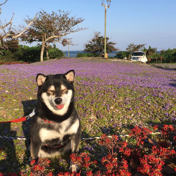 54e037d7 90b7 4525 8a47 95a2f5be813f