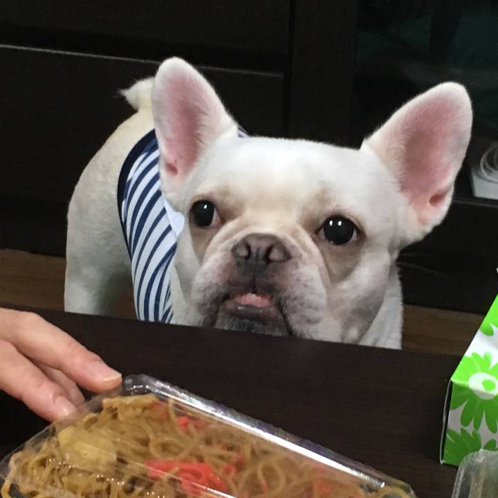 54e044a0 51ef 4586 876a d00f0fad99bb