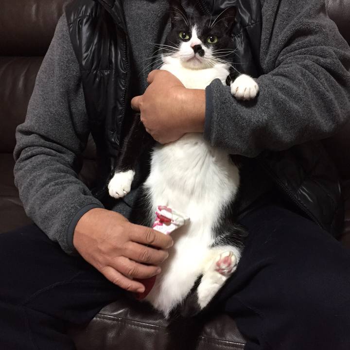 54e0594f 3d78 48b9 ba64 06098f917c54