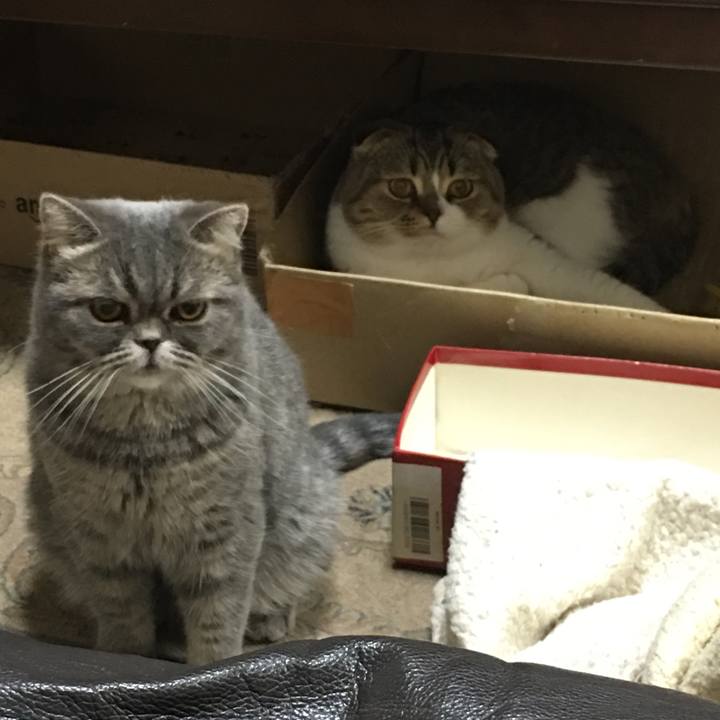 54e06db3 a390 4684 b613 62425ab7b1d9