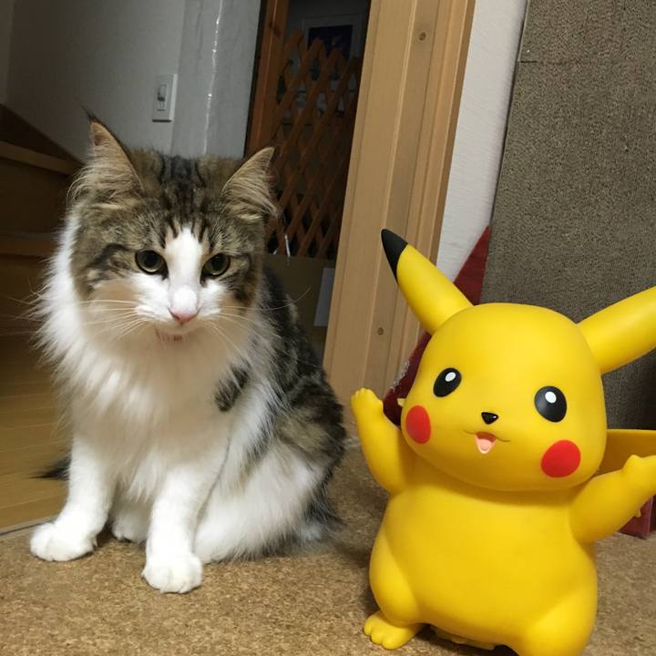 54e0eca8 9d4a 4b66 8284 19395dcec67d