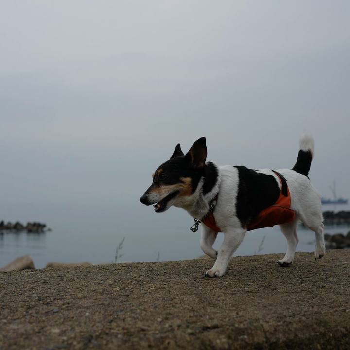 54e1cc99 68d8 477a b87a c8359fab41a0