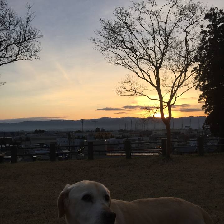 54e21e22 11e0 4caf 8879 b73320520adf