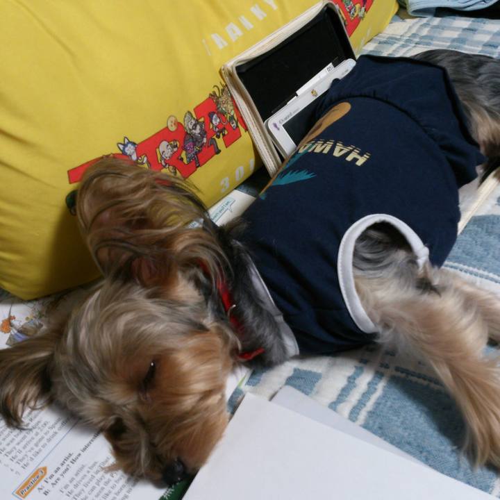 54e22c0d 18b7 472a b4a1 5f4cd48b3773