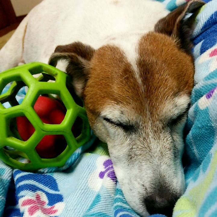 54e2885e d12a 4f38 bf0e 2b3333b45aea