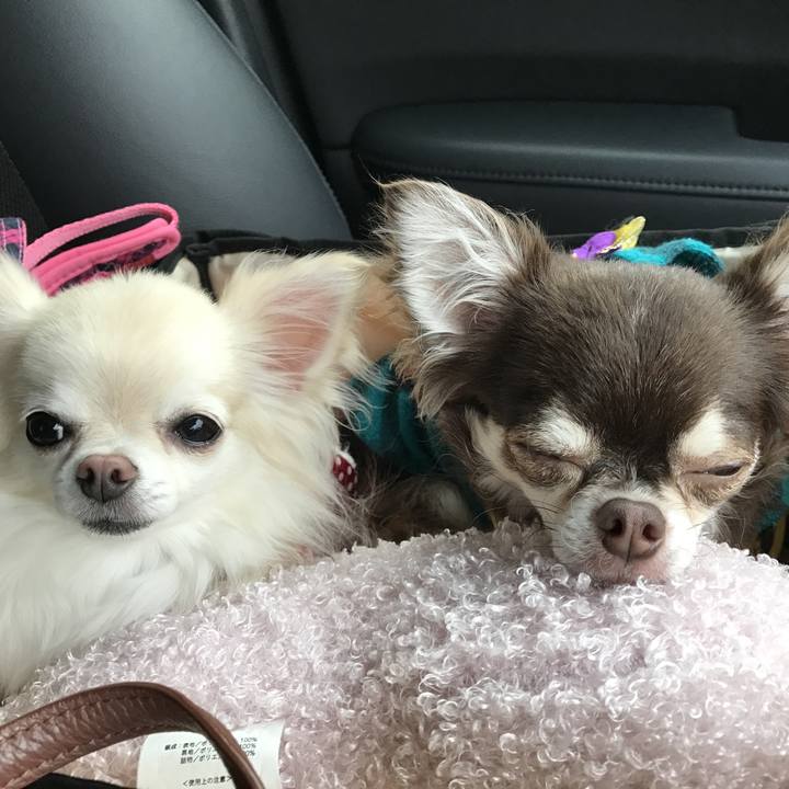 54e2c063 bc4c 4e60 8398 7c6329f77113