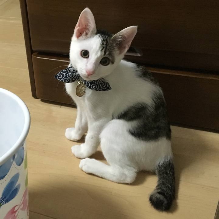 54e41ded 6677 4f85 a9ab fbed62cac83c