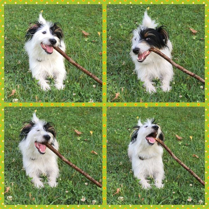 54e43c6c a8d0 4af7 bd85 017a2a997393