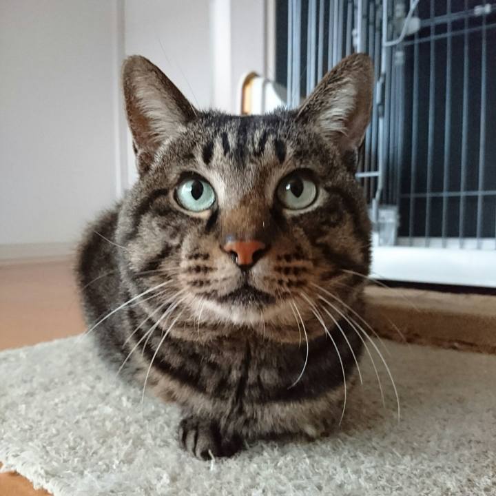 54e4c5ed 3332 49c3 b27e c8705a3e3b1a