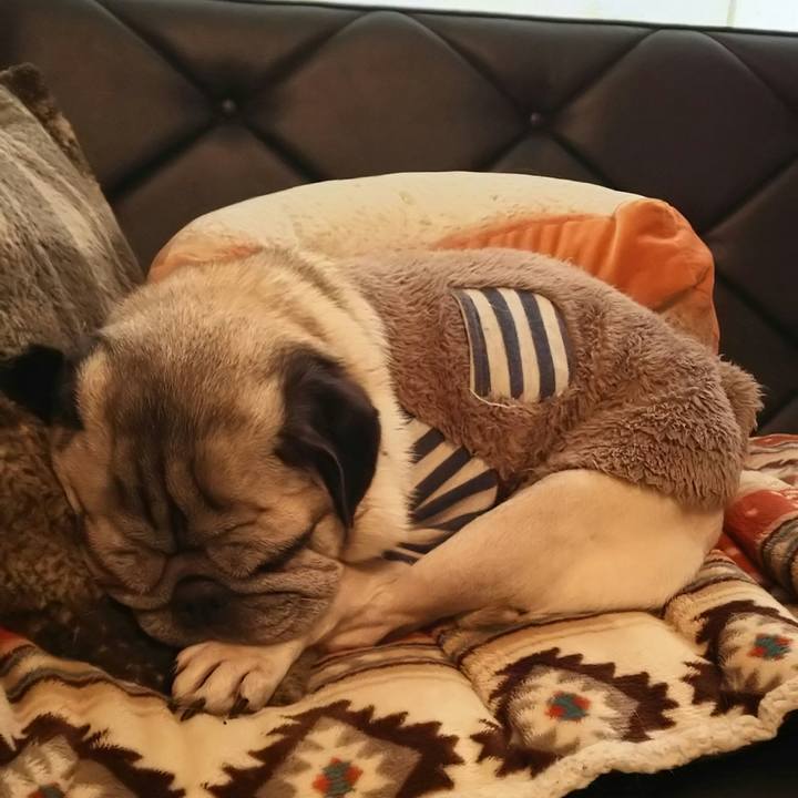 54e4f4aa 6964 422b af67 b0f4c9291be0