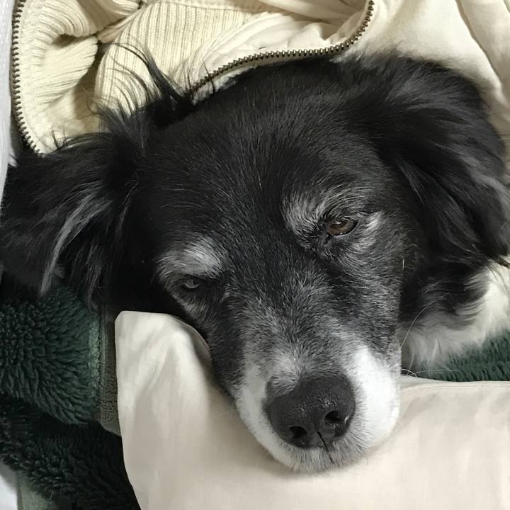 54e4f5f2 2623 4421 b68a ac9292d6b9e0