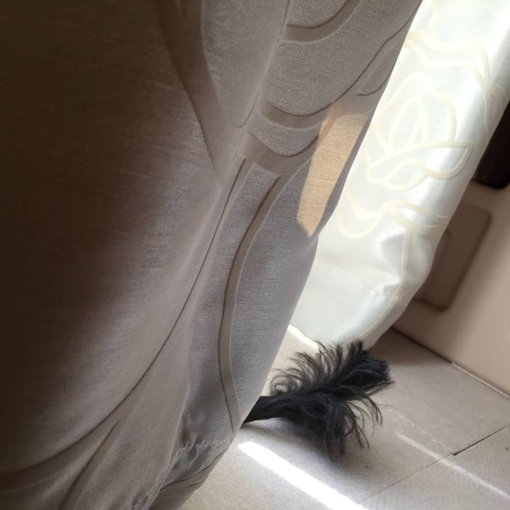 54e4fd06 6684 47e1 ae17 416a3914bb8c