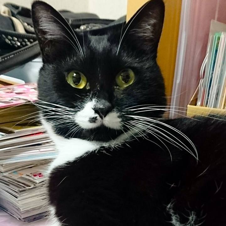 54e59d7f 426a 4a37 ae41 e45d2b90fe5d