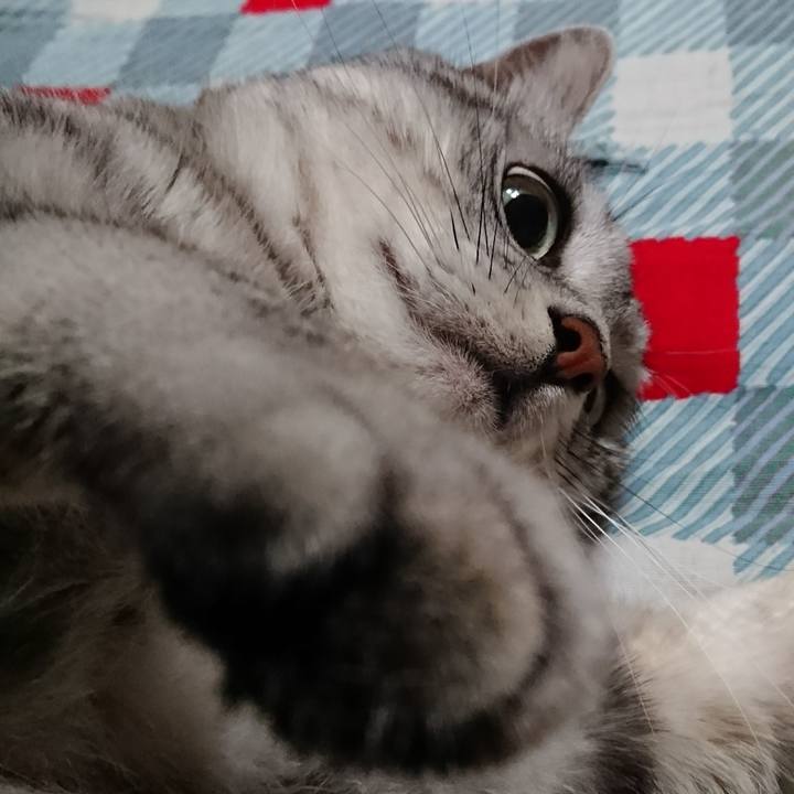 54e62188 09f1 4cf9 b07a 937451919624