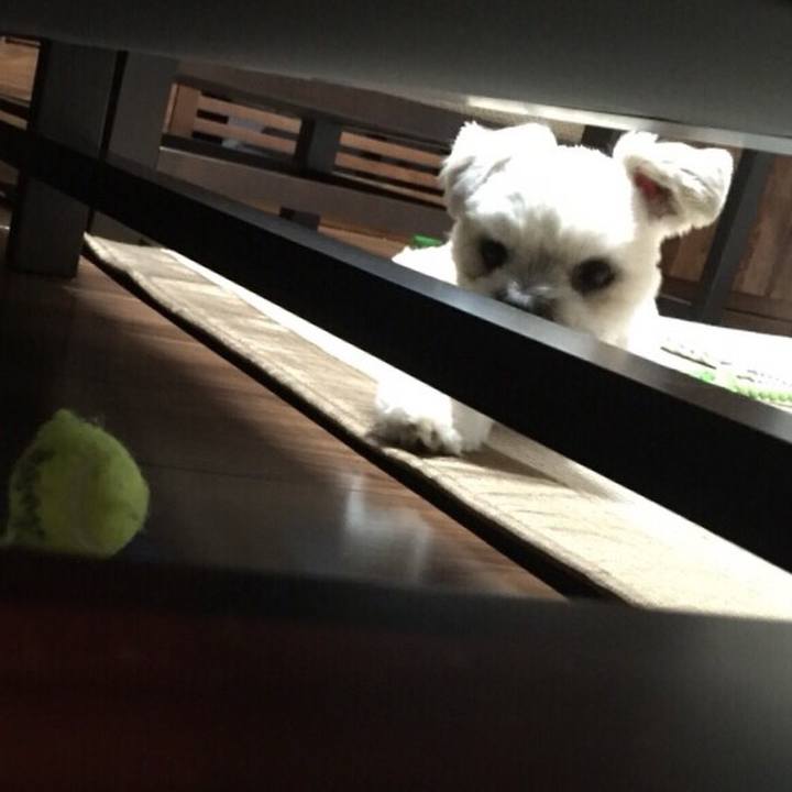 54e6a27a 71f3 4a62 9ade f0c604f38408