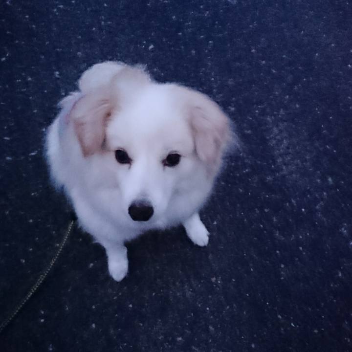 54e720ef 44fb 483b b9d6 b9ae7b97e891