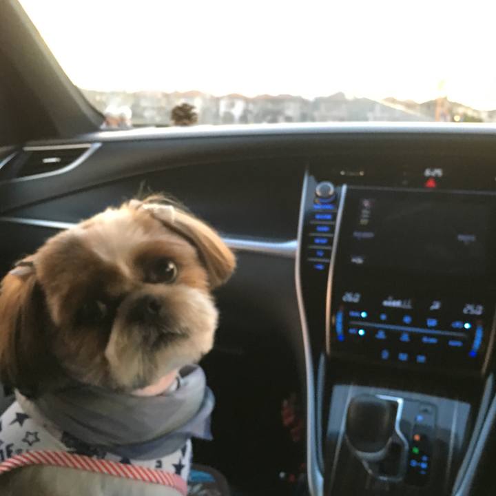 54e74d4d 5fe5 43a6 af9f 874b01de17eb