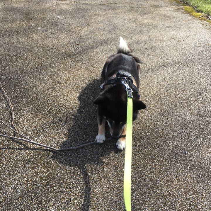 54e7a8f6 9af8 4165 ace8 2158bb72e547