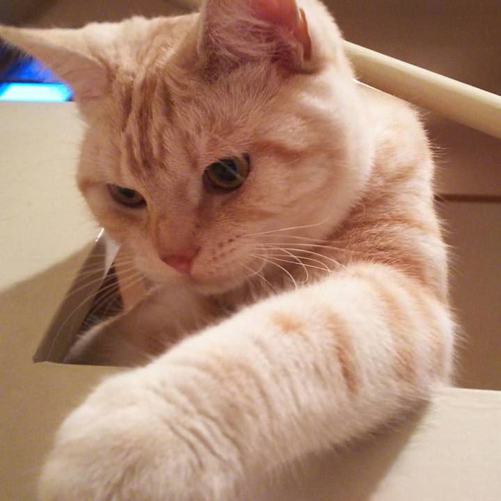 54e7f441 c42c 41d2 8f01 b7f236dd249d