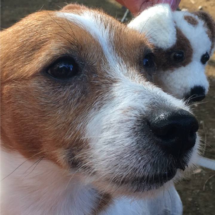 54e8266e 29e4 468a bb15 59379b5e9414