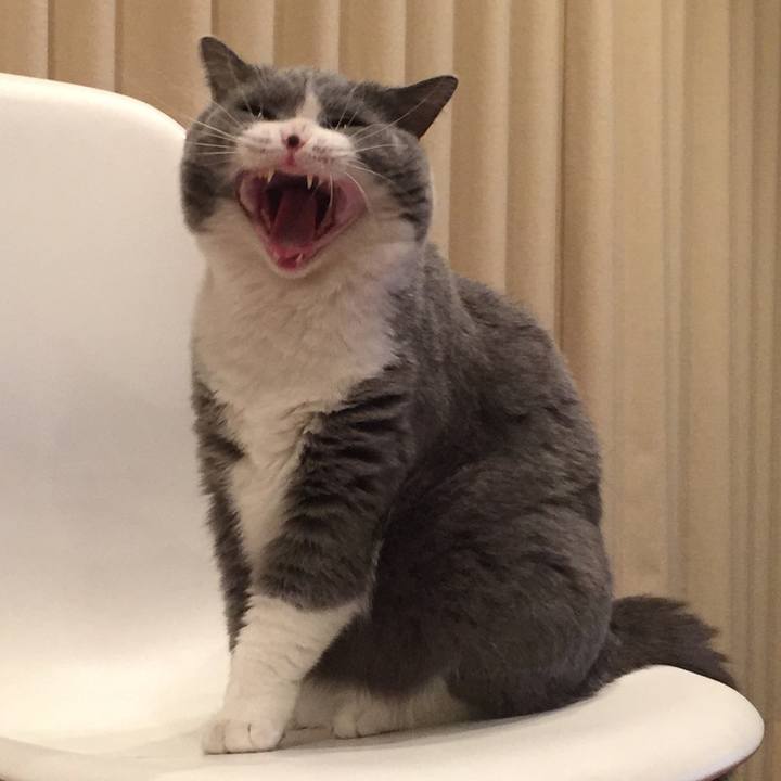 54e87c8f 78bd 4bce ac49 9ef992d946dd