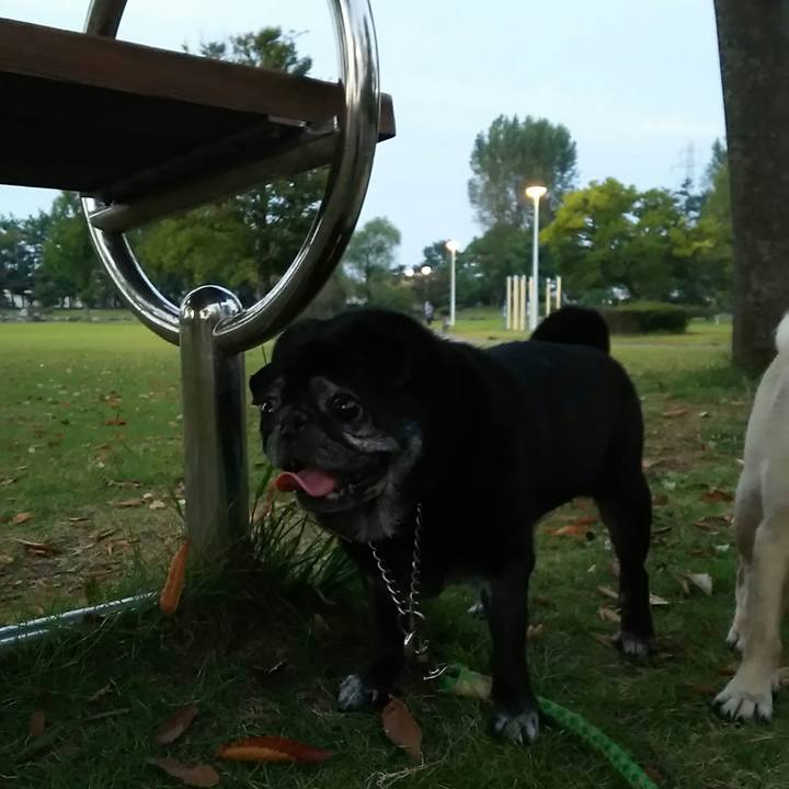 54e97c09 4510 4fb8 9eca afc794a0d8ed