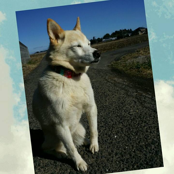 54eb2169 b43b 41f3 88cd 09ffdb079ede