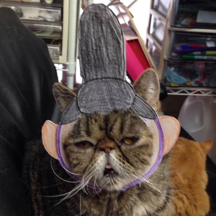 54eb459a 2d57 46a8 a377 8d9faad618e4