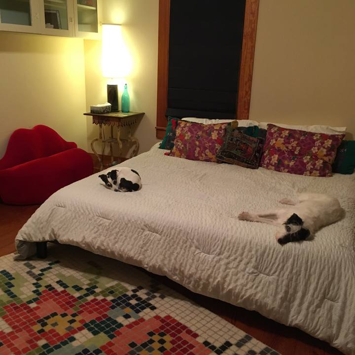 54eb8c8c 4dcf 4b5f 898c 32556ce63649