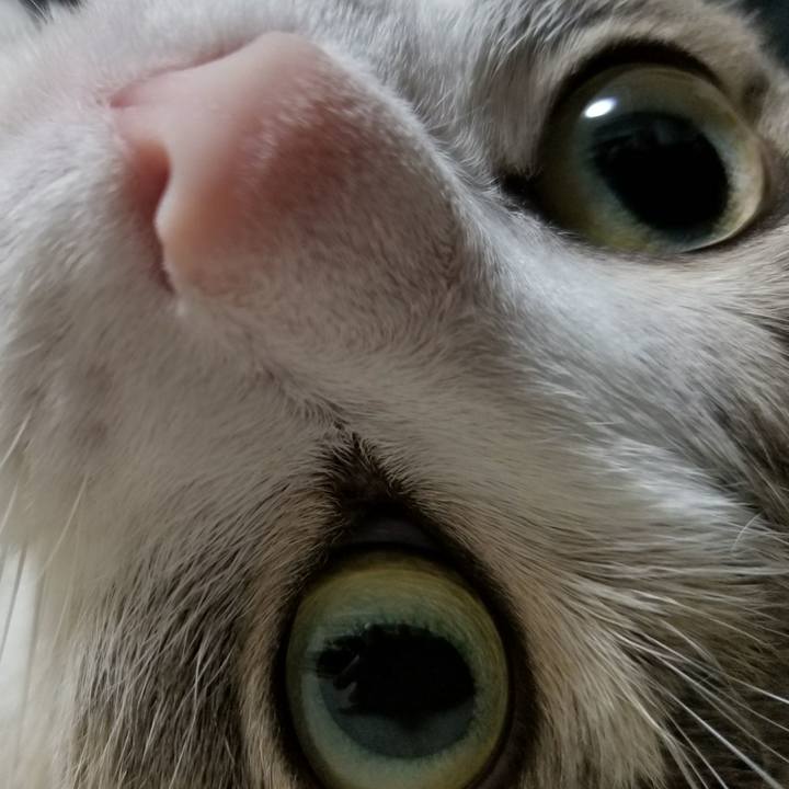 54eba124 bb2e 4c4c 92c4 ad638b141e9e