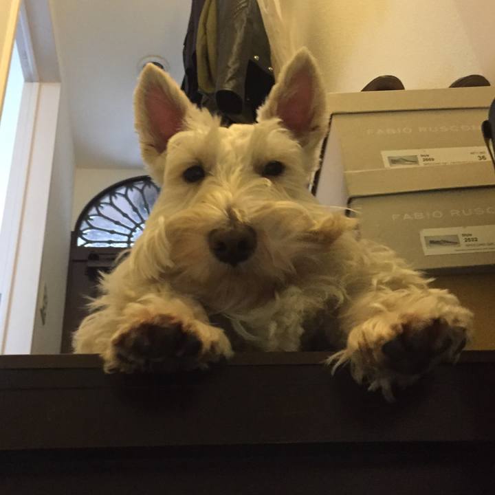 54ec0b0c 02c2 41cc 972a 97deef2a0c79