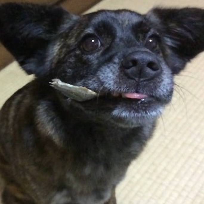 54ec6d71 9179 402f a6ff f77521ee737b